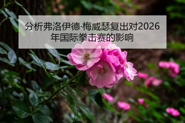 分析弗洛伊德·梅威瑟复出对2026年国际拳击赛的影响