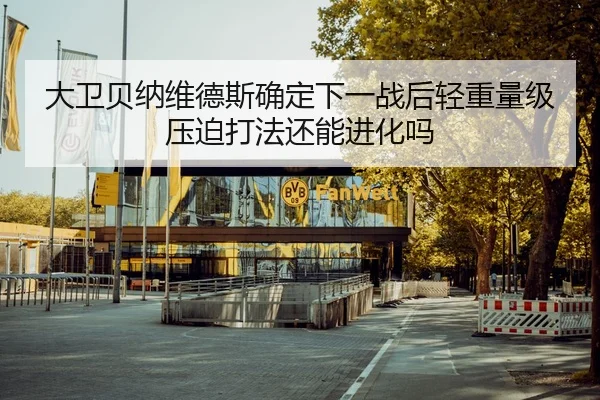大卫贝纳维德斯确定下一战后轻重量级压迫打法还能进化吗