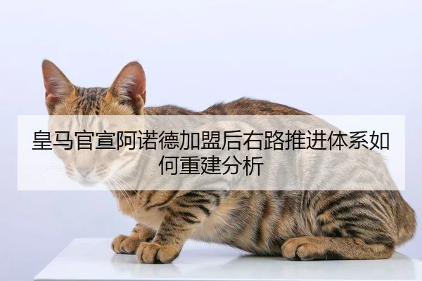 皇马官宣阿诺德加盟后右路推进体系如何重建分析