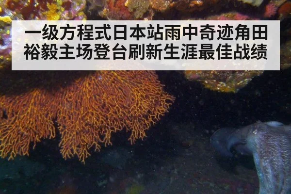一级方程式日本站雨中奇迹角田裕毅主场登台刷新生涯最佳战绩